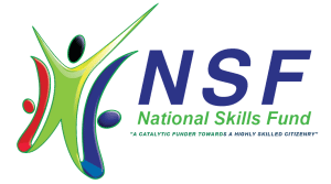 NSF-LOGO-Updated-NSF-Vision-without-the-white-backround-1-1-300x167